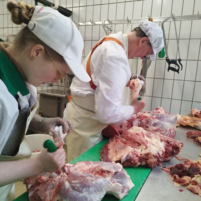 Schulung Zerlegung Rinderpistole