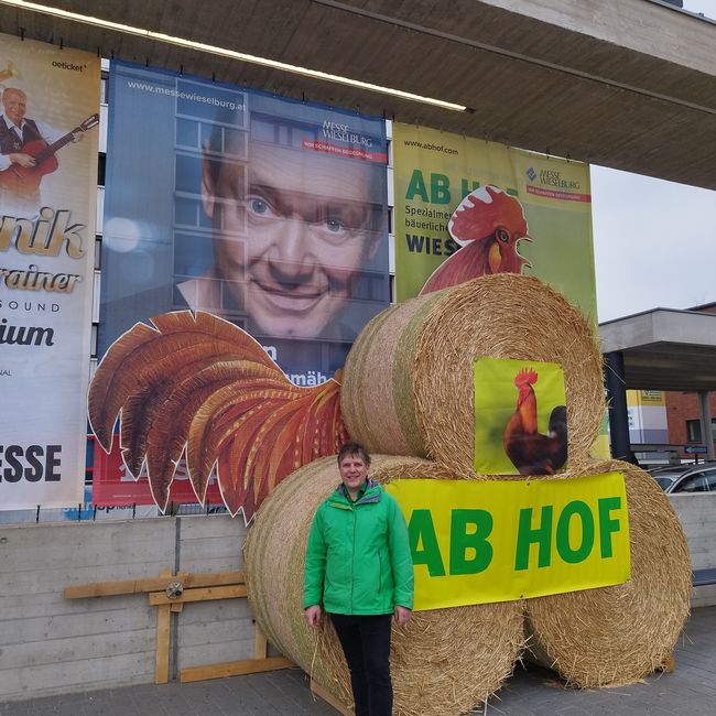 Böbel besucht AbHof in Wieselburg - umdieWurst.de