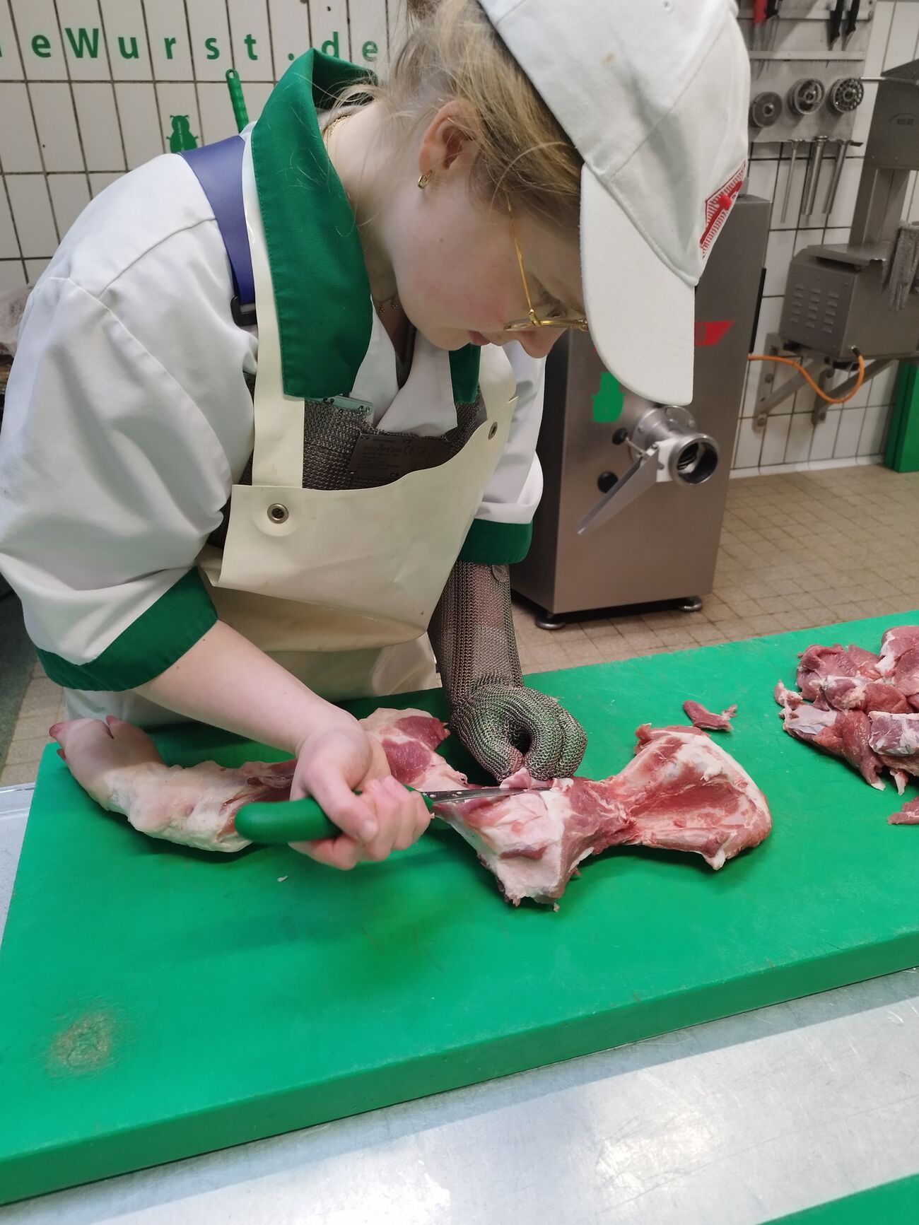 Bewegungsapparat Schweineschulter