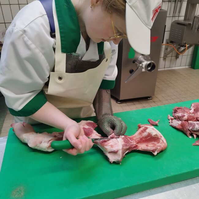 Bewegungsapparat Schweineschulter