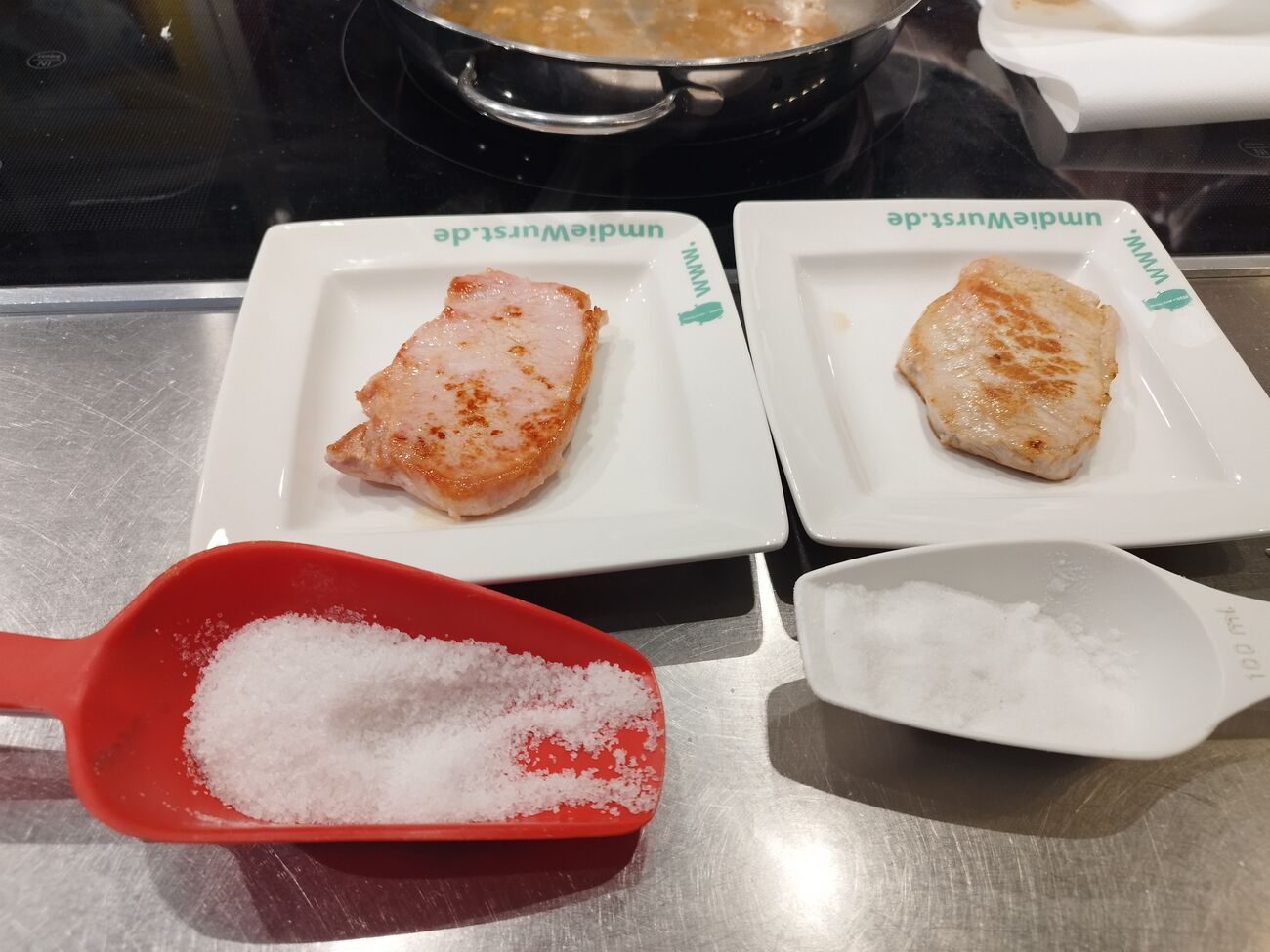 Nitritpökelsalz versus Speisesalz- ein Verlgeich in Theorie und Praxis