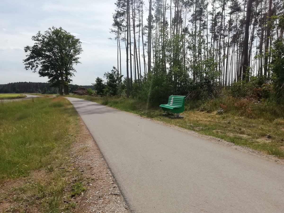 Radweg "begrünt"